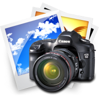 Image Gallery